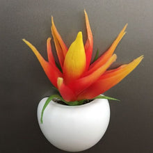 Load image into Gallery viewer, Plant Refrigerator Magnets
