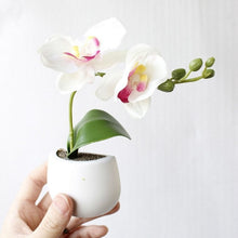 Load image into Gallery viewer, Plant Refrigerator Magnets
