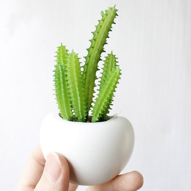 Plant Refrigerator Magnets