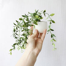 Load image into Gallery viewer, Plant Refrigerator Magnets
